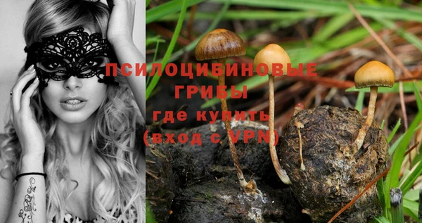 СК Лиски